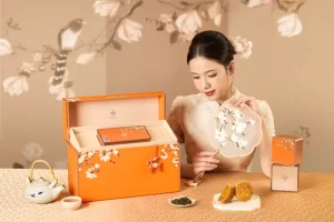 Bánh Trung Thu Daewoo Platinum